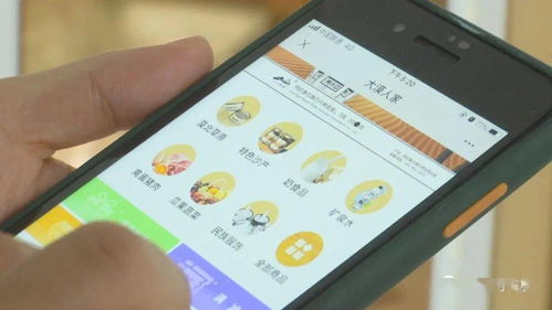阿右旗 打造電商產業鏈，助力特色產品行穩致遠